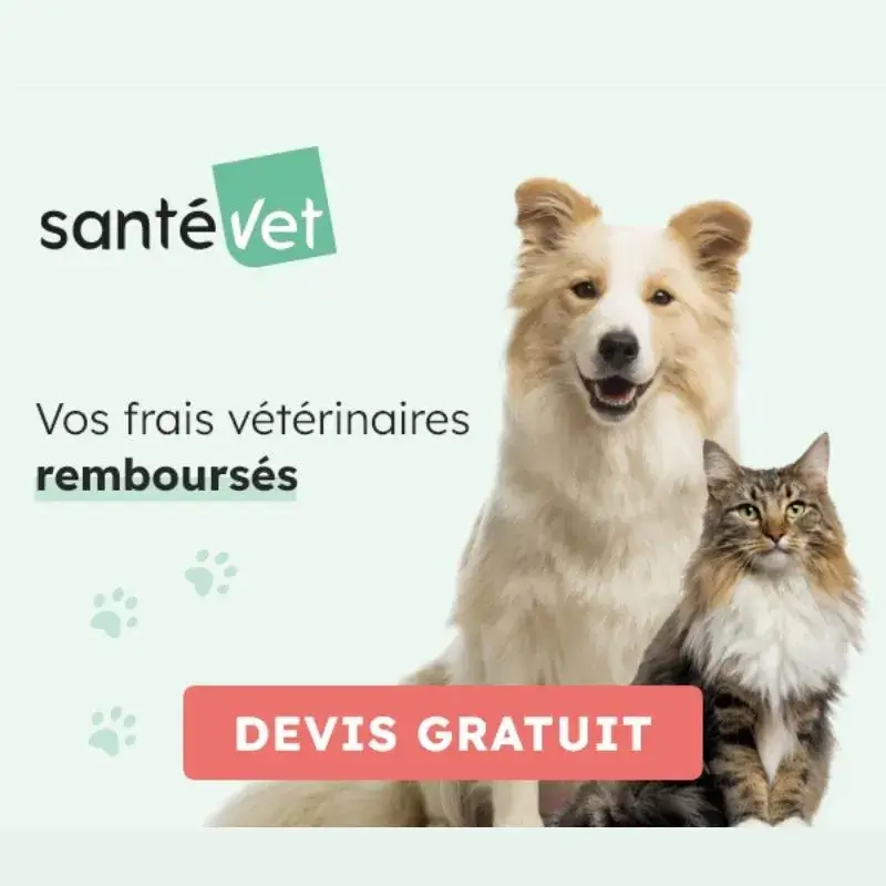 Mutuelle pour chien et chat