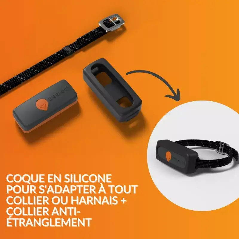 Collier Weenect XS Chat : GPS Ultra léger - N°1 en France