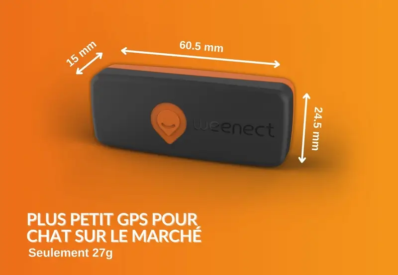 Weenect Chat XS - Nouveau Collier GPS pour Chat | Mini Traceur GPS Chat en  Temps réel | Plus Petit modèle du marché | Fonctionne avec abonnement 