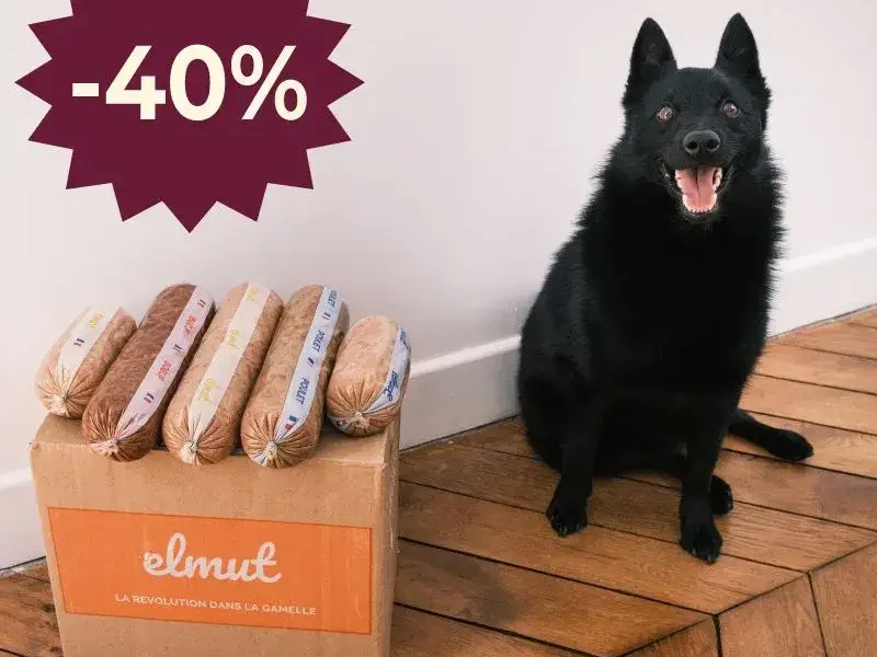 40% de réduction repas frais elmut chien