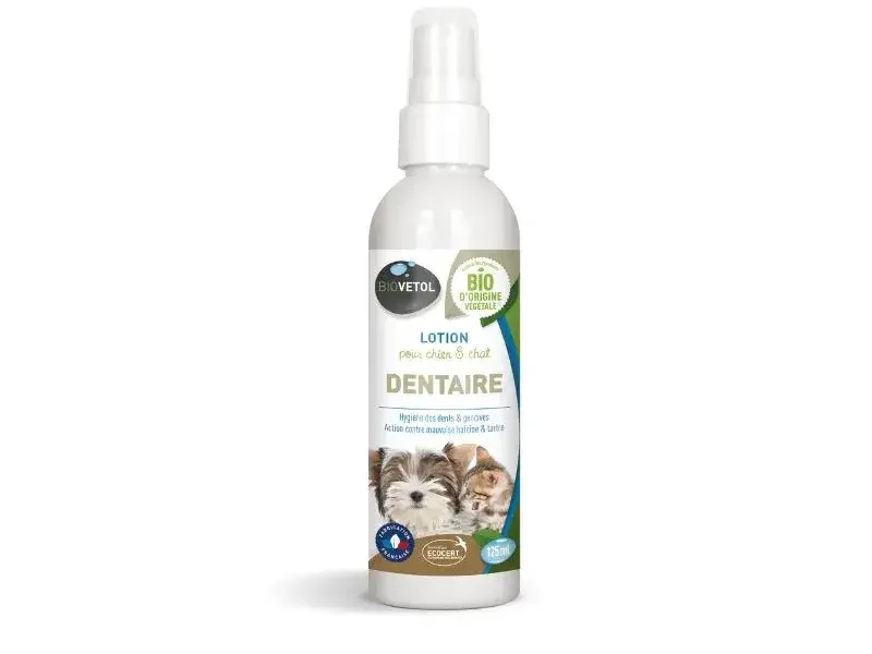 Lotion dentaire pour chien et chat Biovétol