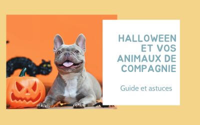 Halloween et vos animaux de compagnie : Astuces