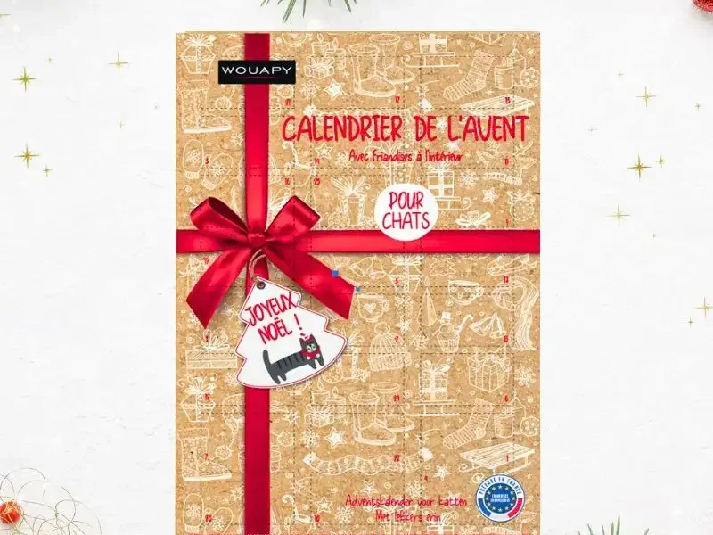 Calendrier de l'Avent Noël Chat Friandises