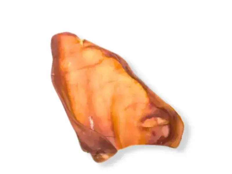 Oreille de porc