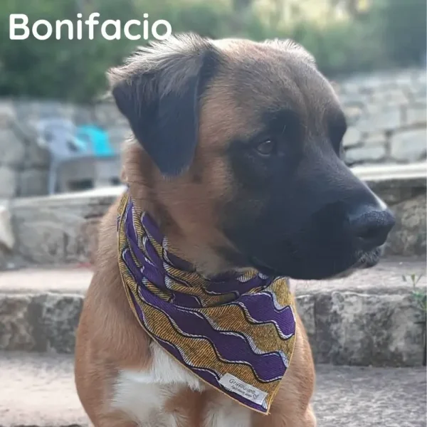 Bandana chien Bonifacio