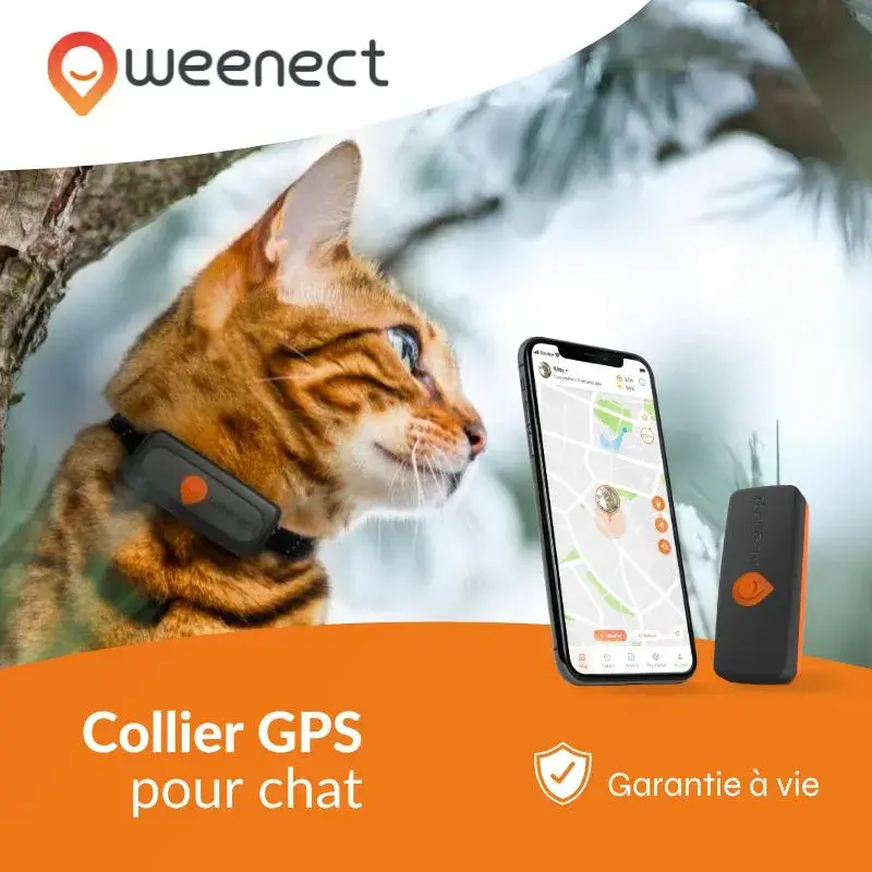 Collier GPS pour chat Noir