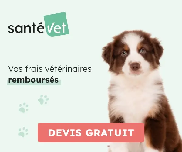 SantéVet, marque préférée des Français 