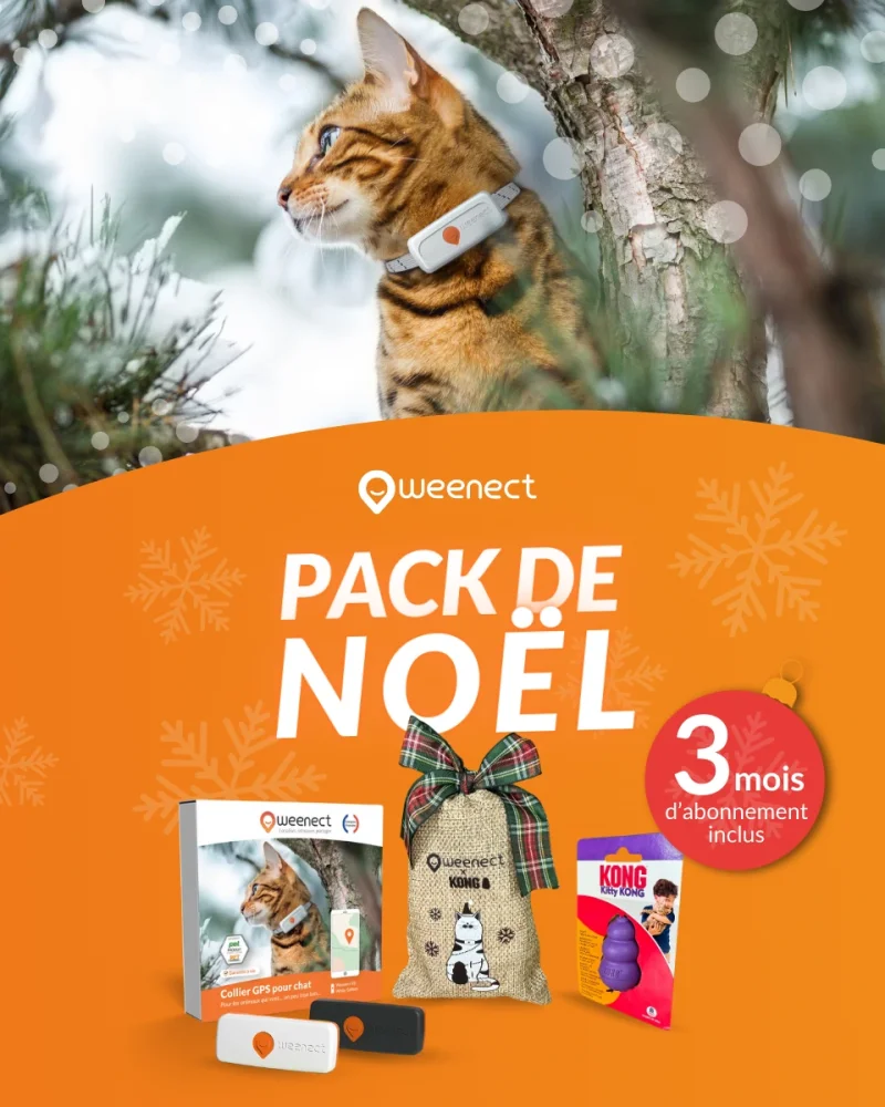 Coffret de Noël chat Weenect XS blanc