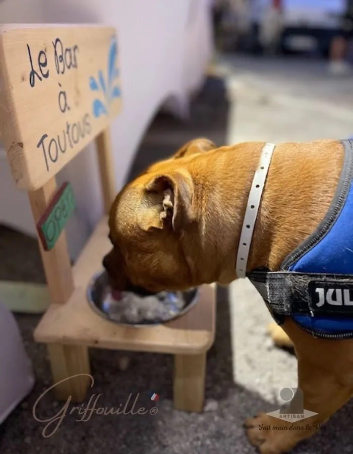 Un chien se désaltère sur le stand Griffouille