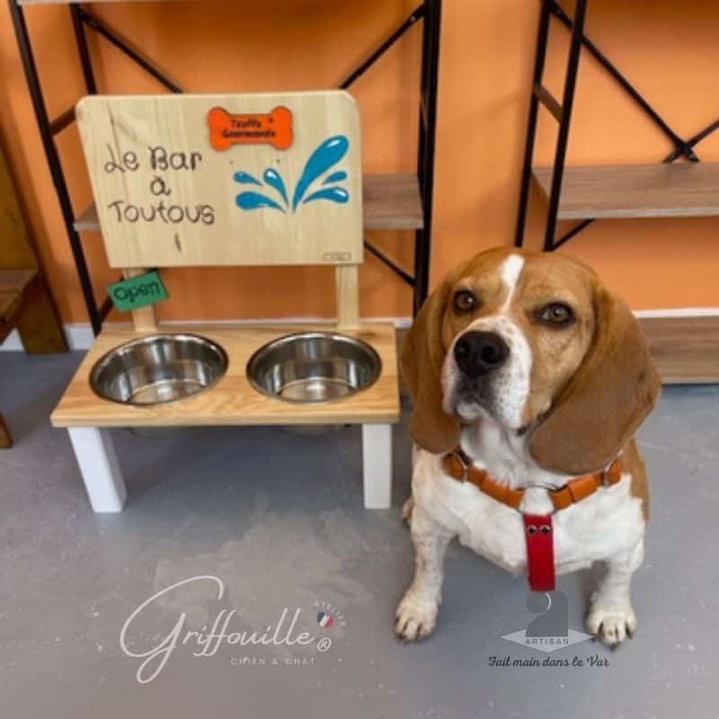 Un Bar à Toutous Griffouille installé chez Truffe Gourmande