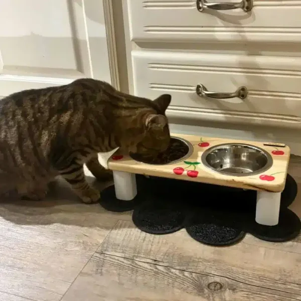 Chat profitant d'une position de repas naturelle avec une gamelle inclinée Griffouille pour stopper les régurgitations.