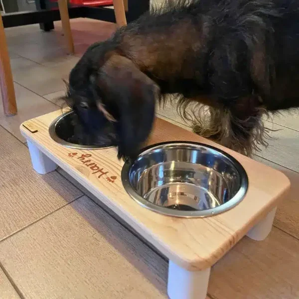 Chien Teckel utilisant un porte-gamelle surélevé Griffouille pour préserver sa colonne vertébrale et son dos.
