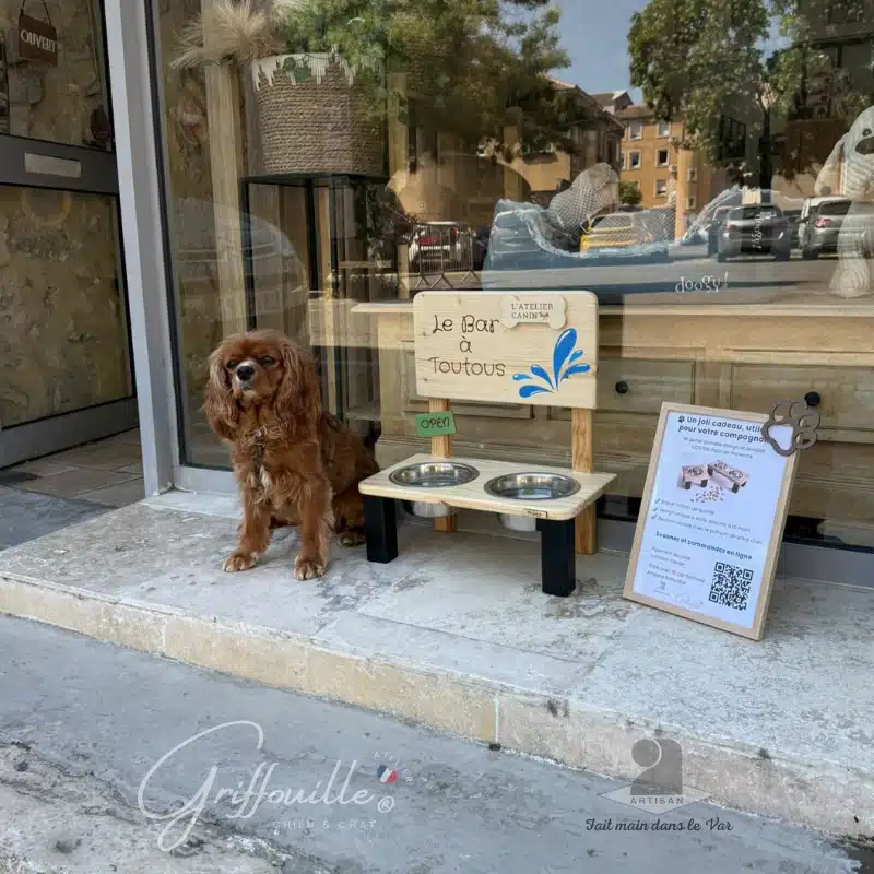 Bar à toutous en bois installé en vitrine de L'Atelier Canin, chien Cavalier King Charles, QR code commande